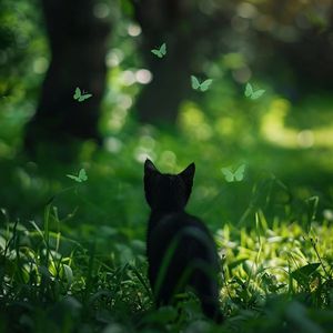 另类拳交欧美调教
